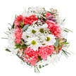 This exuberant bouquet, inspired by the fresh energy of Northolt's vibrant community, features crisp white daisies with lively green centres and plush coral-pink carnations arrayed in a flawless circle. Sprigs of ethereal gypsophila weave throughout, echoing the soft, starry shapes seen in the hedgerows along Mandeville Road during spring. Delicate buds-alstroemeria with hints of blush and violet-peek out from a backdrop of silvery eucalyptus and deep green leaves, adding both intrigue and harmony to the design. Every element is arranged to radiate warmth and delight, capturing the sensation of sunlight streaming through the windows of a Northolt home. The careful craftsmanship and rich textures invite an immersive experience-the heady freshness of the florals, the feathery softness of the greenery-all combining to evoke a sense of hope and gentle celebration. This bouquet is ideal for marking a birthday, sending uplifting wishes, or simply bringing a breath of spring into daily life across Northolt, reflecting the sophistication and care of the area's experienced local florists.